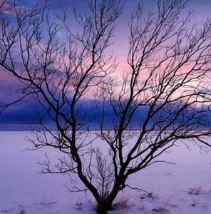 Meet your Posher, Anne